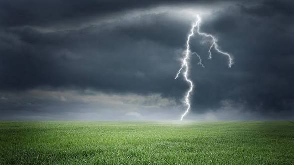 inbound8633100320886658983