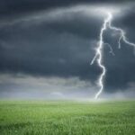 inbound8633100320886658983